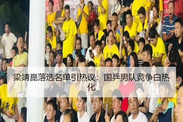 梁靖崑落选名单引热议：国乒男队竞争白热化